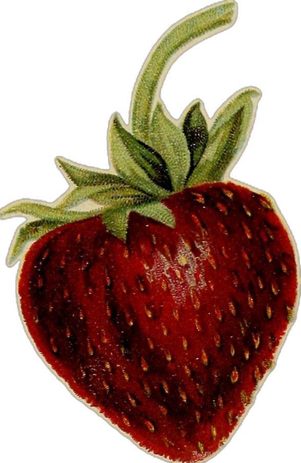 Farmstead Jubilee: Eclectic Berries Ensemble