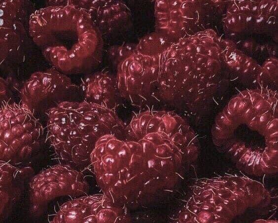 Garden's Whisper: Rare Heirloom Berries