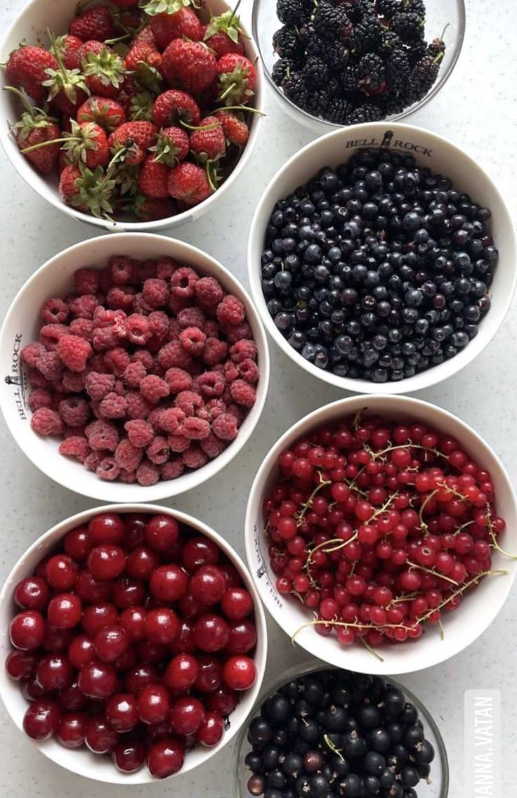 Berry Bounty: Fresh Farm-Picked Delights